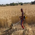 Uttar Pradesh: Farmers to be provided with 100 battery powered E-Brushcutters to mitigate stubble burning