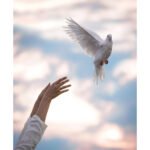 Disha Patani joins Emraan Hashmi in ‘Awarapan 2’, makers lock August release