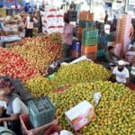 WPI inflation to face further upside as oil and metal prices stay elevated amid geopolitical tensions: Report