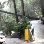 Heavy monsoon rains claimed 354 lives, caused over Rs 3,219 crore damage in Himachal
