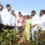 BRS Working President KTR inspects dried-up crops, interacts with farmers