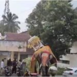 Shivamogga Dasara: Elephant Somanna runs wild, damages vehicles